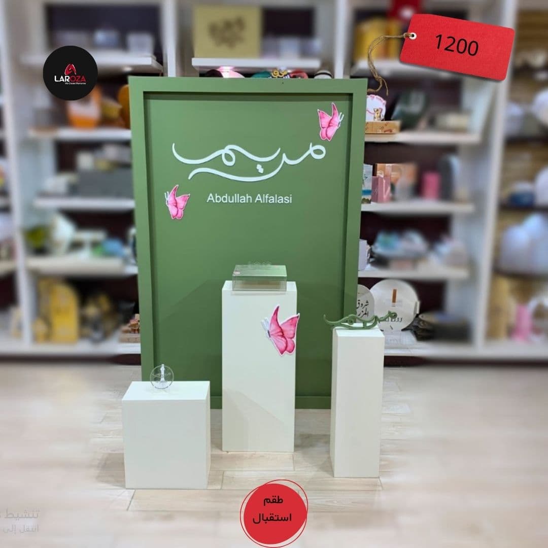 Green Butterfly Display Set