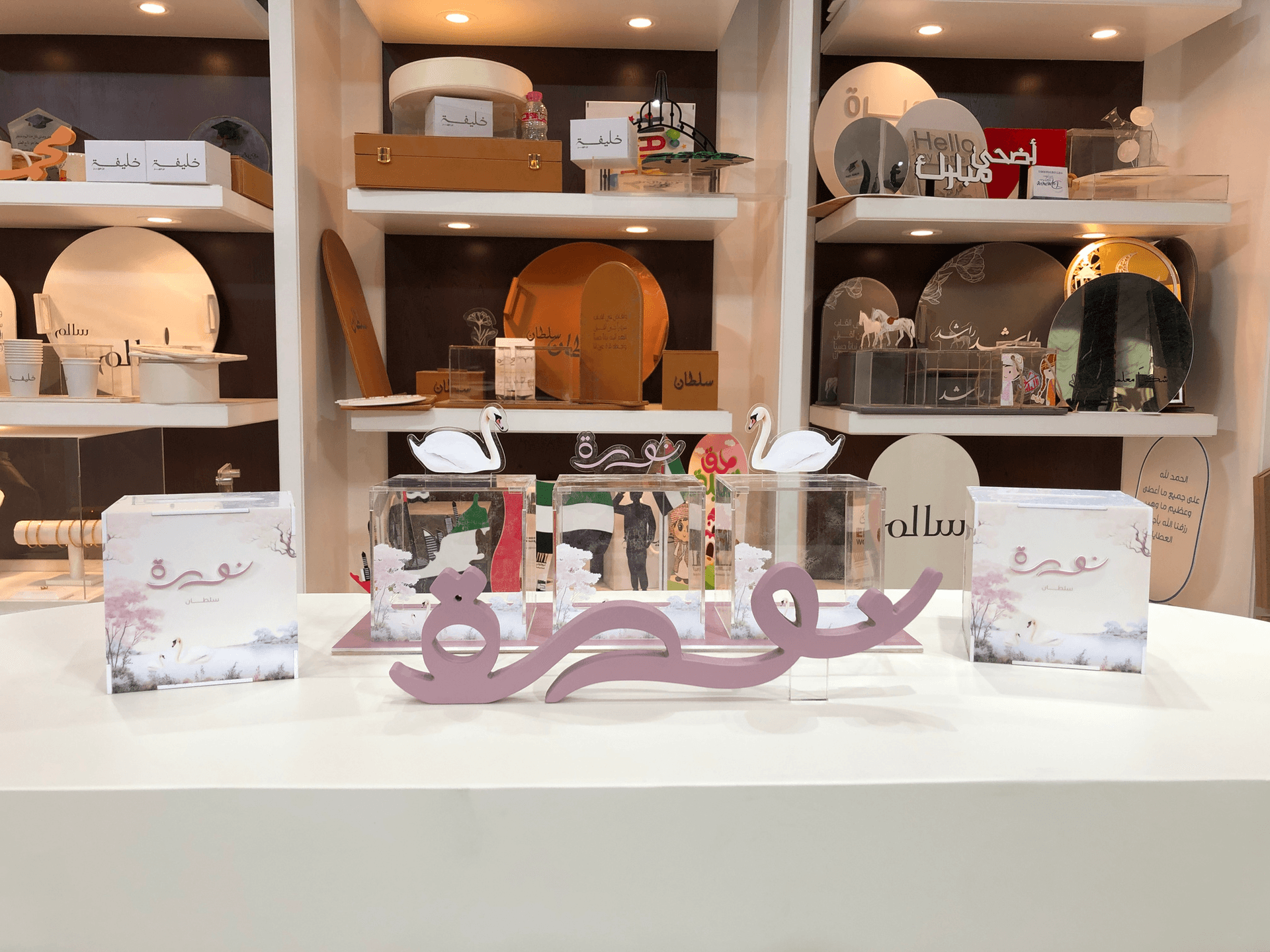 Swan Theme Newborn Reception Set