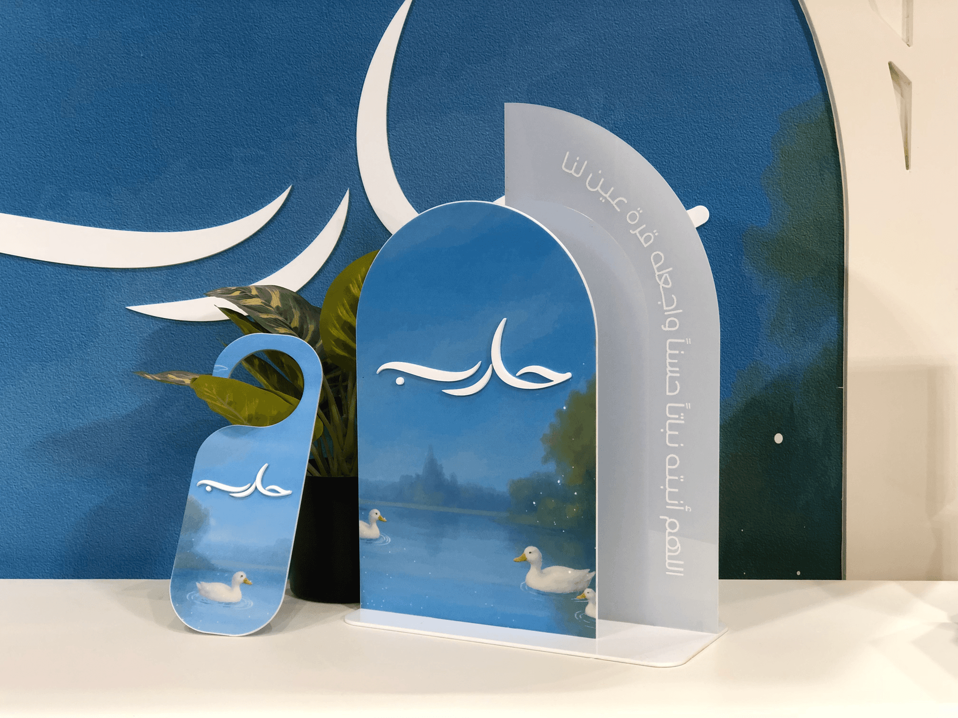 Duck Lake Theme Newborn Set